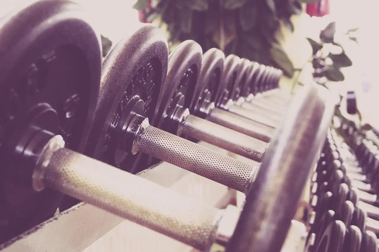 Basic-Fit proefles: ervaar de sportschool gratis