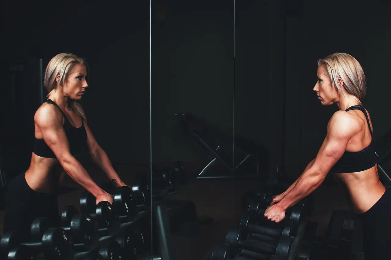 Lifefit: Ontdek onze fitnessprogramma's en trainingen