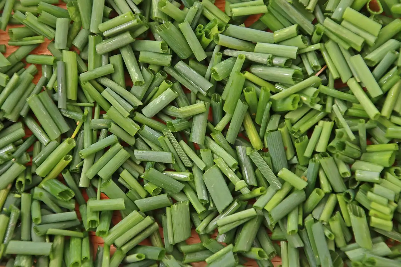 Zoutarm Eten: Gezond en Lekker Koken met Minder Zout
